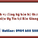 Dịch vụ đăng ký bảo hộ thương hiệu tại Bắc Giang